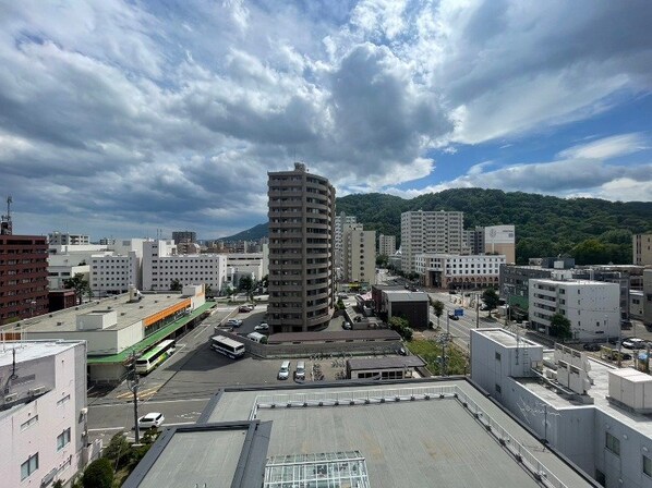 円山公園駅 徒歩1分 9階の物件内観写真